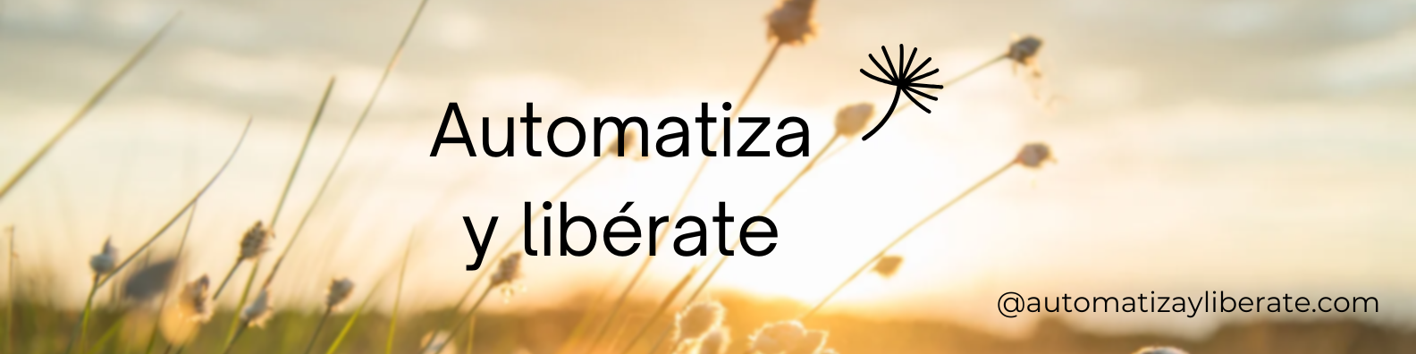 Automatização com IA